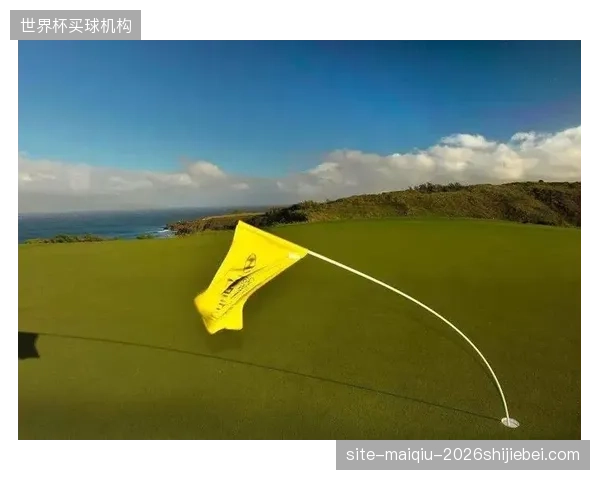 大迫敬介需快速适应北美赛区球场的光照和风速，以确保防线稳定。